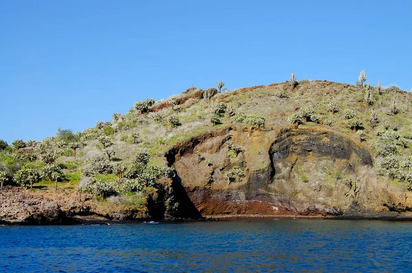 Kampioen Islet Nabij Floreana Island Galapagos — Stockfoto