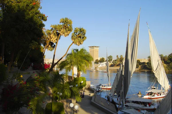 Aswan Jardim Botânico Egito — Fotografia de Stock