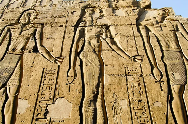 Tempel Der Kom Ombo Hieroglyphen Ägypten — Stockfoto