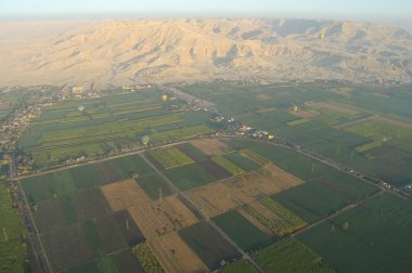 Şeker kamışı tarlaları - Luxor - Mısır