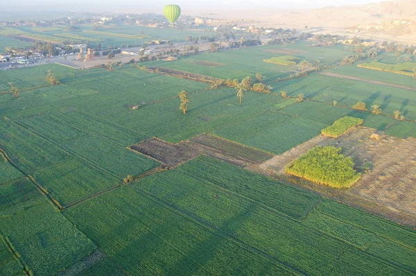 Plantaciones Caña Azúcar Luxor Egipto —  Fotos de Stock