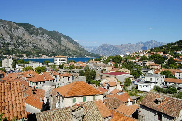 Kotor Gebäude Montenegro — Stockfoto