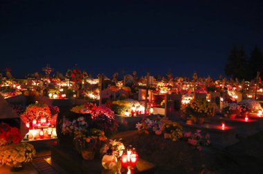 Tüm Azizler günü - Polonya üzerinde çiçekli Graves