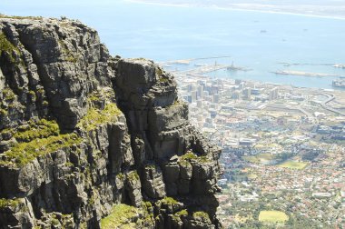 Masa Dağı - Cape Town - Güney Afrika