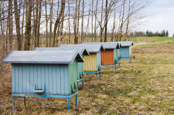 Dřevěná Včelích Úlů Polsko — Stock fotografie