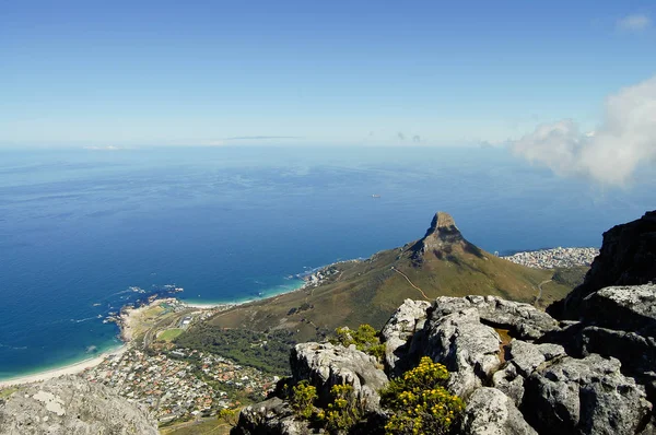 Montagne Table Cape Town Afrique Sud — Photo