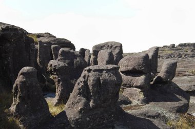 Mount Roraima Zirvesi - Venezuela