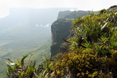 Mount Roraima Zirvesi - Venezuela