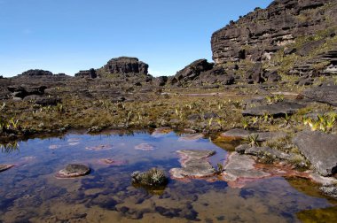 Mount Roraima Zirvesi - Venezuela
