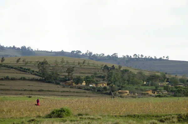 Terreno Agrícola Tanzânia — Fotografia de Stock