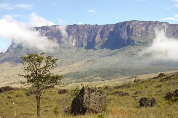 Távoli Mount Roraima Venezuela — Stock Fotó