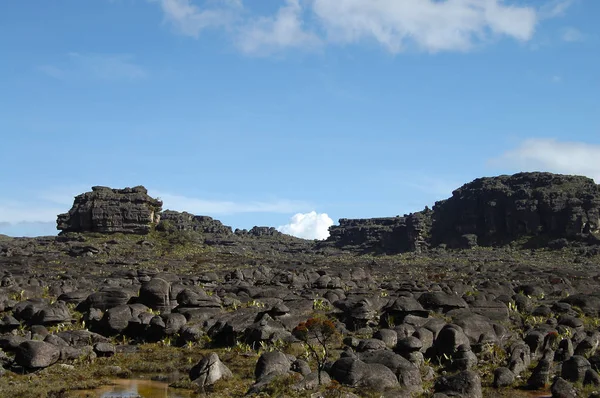 Cimeira Monte Roraima Venezuela — Fotografia de Stock