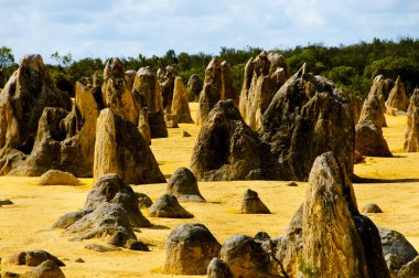 Pinnacles - Batı Avustralya
