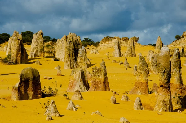 Pinnacles - Batı Avustralya