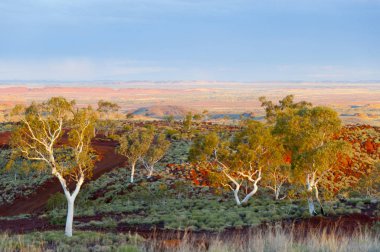 Hamersley Range - Pilbara - Australia clipart