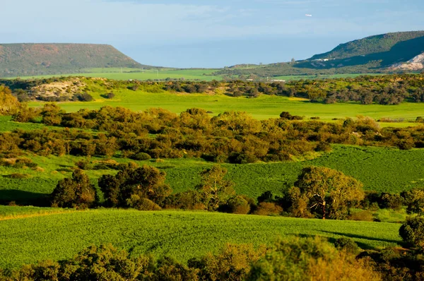 Pastagens Campos Mid West Oeste Austrália — Fotografia de Stock