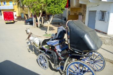 At arabası - Edfu - Mısır