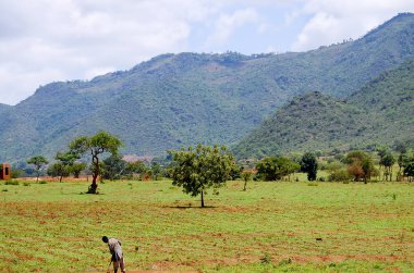 Tarım arazi Tanzanya