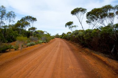 Off Road Track in the Outback clipart