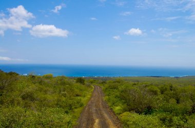 Çin Adası - Galapagos toprak yolda