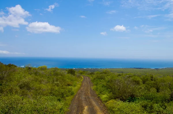 Dirt Road Floreana Island Galapagos — Stock Photo, Image