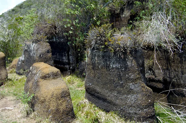 Vulkanisch Gesteente Floreana Island Galapagos — Stockfoto