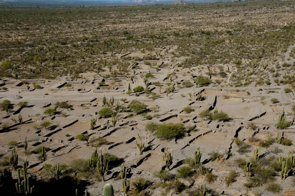 Quilmes Ruins Tucuman Argentina — Stock fotografie