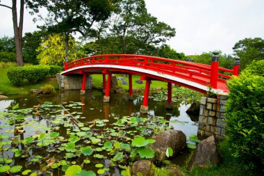 Japon Bahçesi - Singapur Şehri