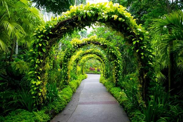 Jardín Botánico Singapur — Foto de Stock