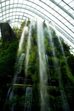 Bir Seraşelale - Singapur