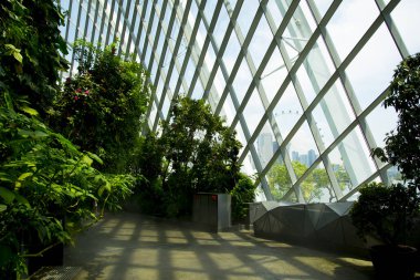 Tropikal Sera Yağmur Ormanları - Singapur