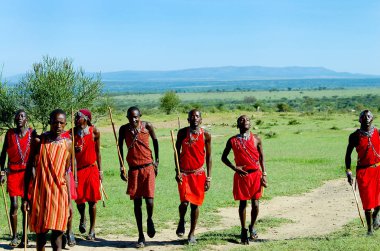 Masai Mara rezerv, Kenya - Kasım 25, 2008: onların geleneksel dans performans Masai insanlar
