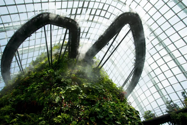 Singapur City Singapur Dubna 2019 Lesní Les Zahradách Zátoky — Stock fotografie