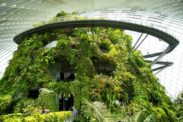 Singapore City Singapore April 2019 Cloud Forest Gardens Bay — Stock Photo, Image