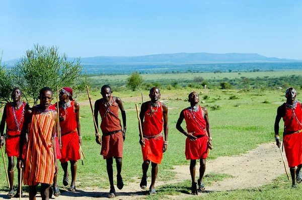 Masai Mara Reserve Kenya Novembre 2008 Masai Eseguono Loro Danza — Foto Stock