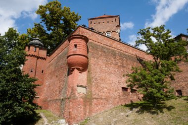 Wawel Kalesi Duvarı - Krakow - Polonya