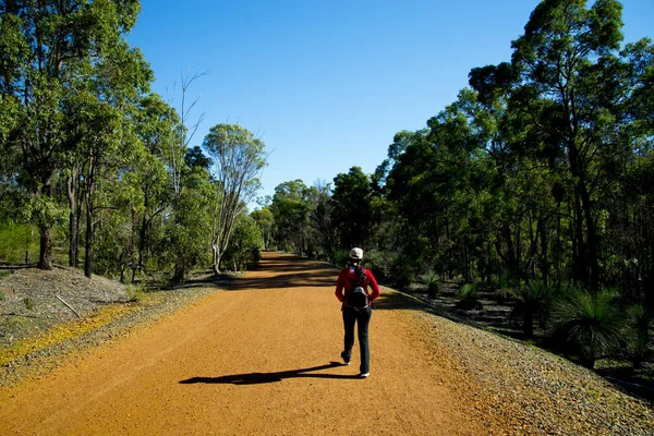 John Forrest National Park West Australië — Stockfoto