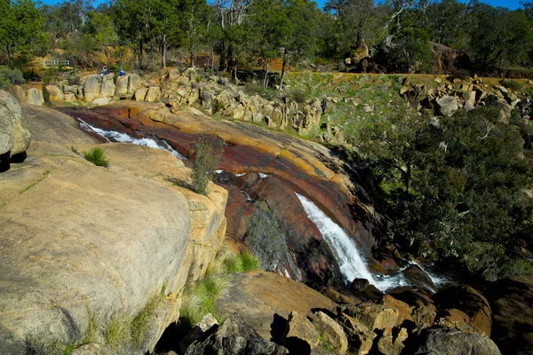 John Forrest National Park West Australië — Stockfoto