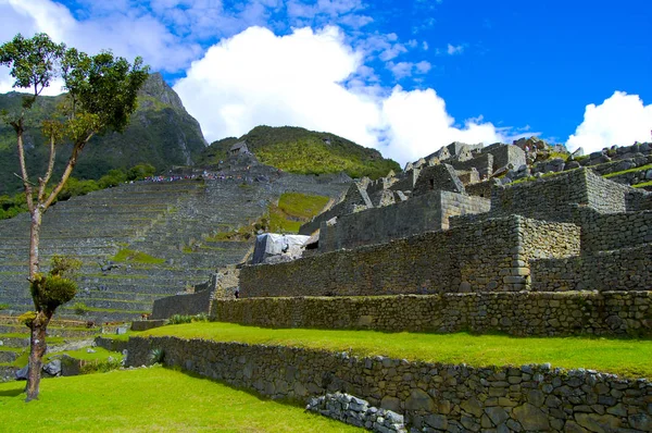 Ruinas Machu Picchu Inca Perú — Foto de Stock