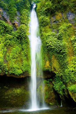 Pucak Manik Şelalesi - Bali - Endonezya