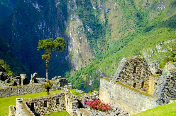 Ruinas Machu Picchu Inca Perú — Foto de Stock