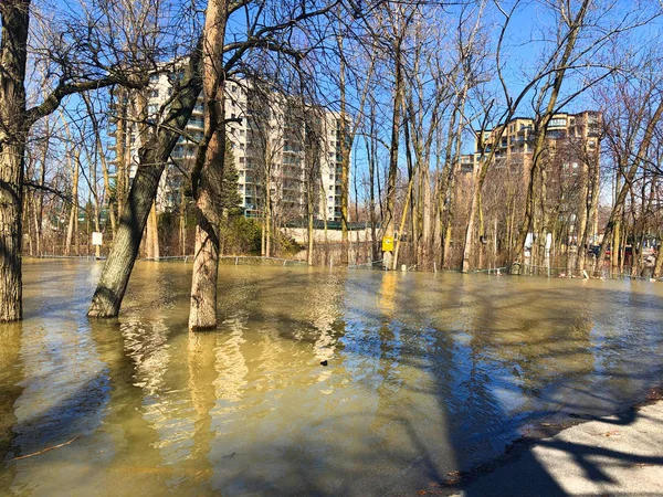 Inundación Suburbios Montreal Canadá — Foto de Stock