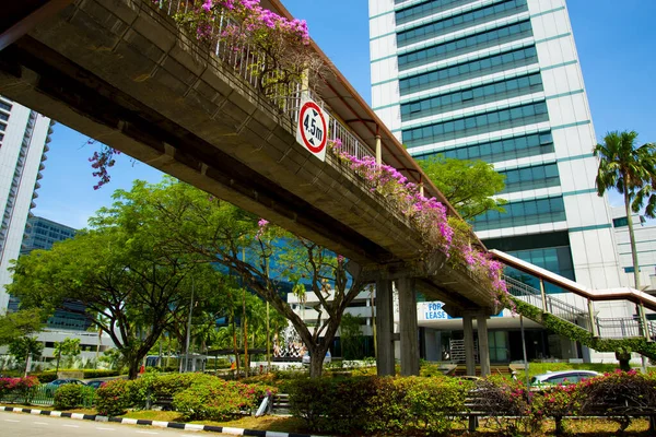 Puente Peatonal Aéreo Ciudad Singapur — Foto de Stock