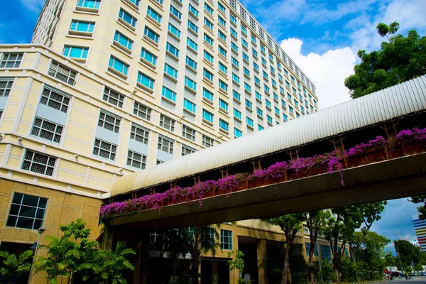 Ponte Pedonale Sopraelevato Singapore City — Foto Stock