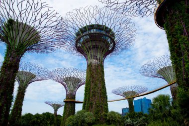Körfez kenarındaki bahçeler - Singapur