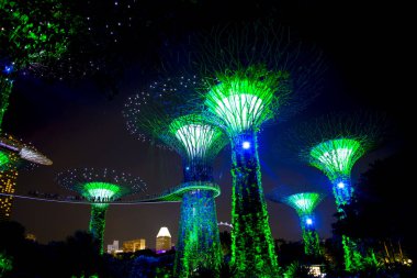 Körfez kenarındaki bahçeler - Singapur