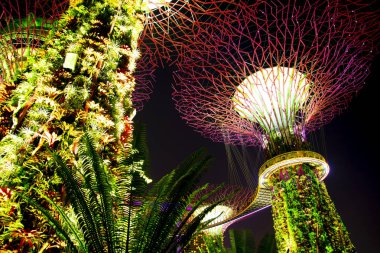 Körfez kenarındaki bahçeler - Singapur