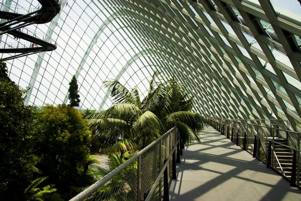 Nuvem Floresta Estufa Singapura — Fotografia de Stock