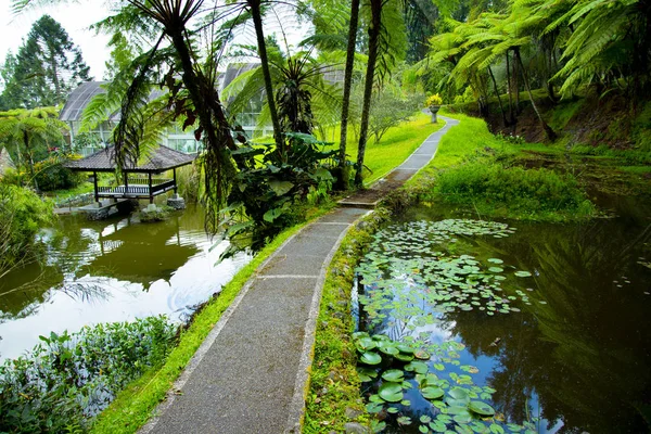 Jardín Botánico Bali Indonesia — Foto de Stock