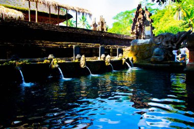 Tirta Boş Tapınağı 'nda Arınma Hamamı - Bali - Endonezya